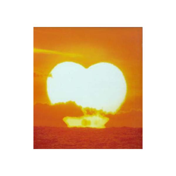 国内盤CD][新品]サザンオールスターズ / バラッド3〜the album of LOVE