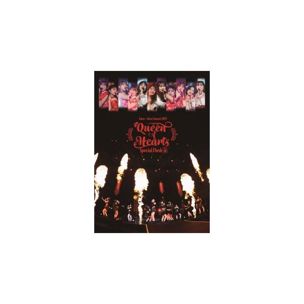 [国内盤DVD][新品]Juice=Juice / Concert 2025 Queen of Hearts Special Flush〈3枚組〉[3枚組](2026/3/11発売)
