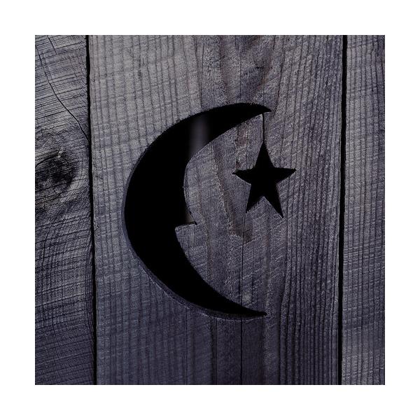[輸入盤LPレコード][新品]Phish / Farmhouse (Northern Lights) (Gatefold LP Jacket) (180gram Vinyl)(2023/6/30発売)(フィッシュ)