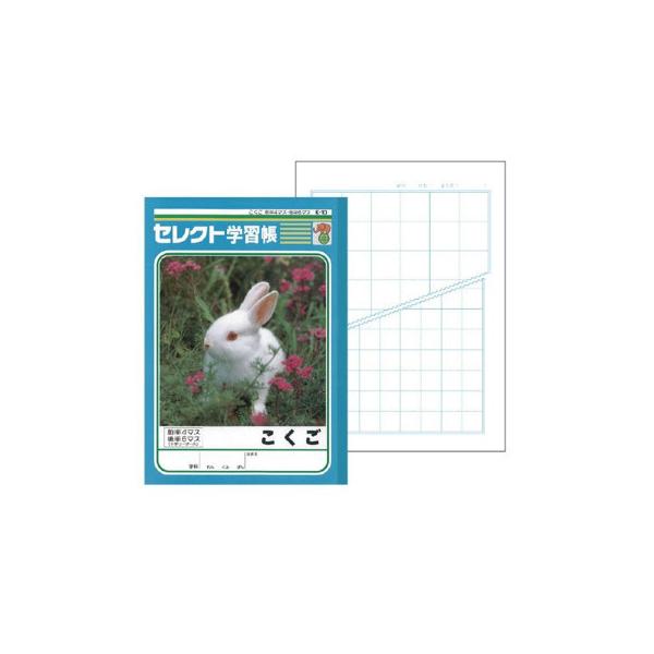 こくご ノートの人気商品 通販 価格比較 価格 Com