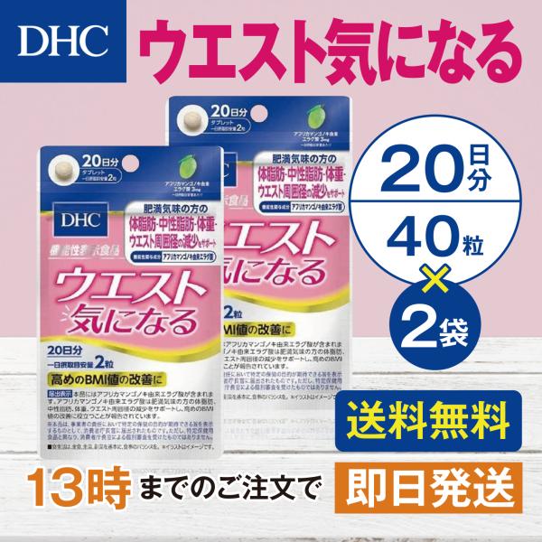 他サイト： DHC ウエスト気になる 20日分 2個セットの商品画像