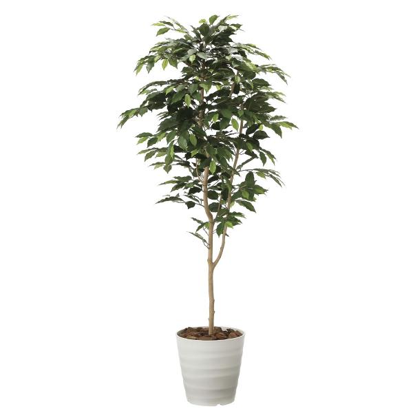  ϗtA uxW~ 160cmv G}(C) CeAEO[ ̊y