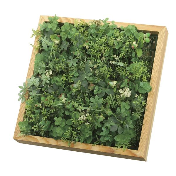  ϗtA uvgE{bNX[Ǌ|Ήv G} C CeA O[