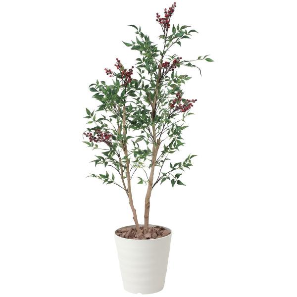 南天 鉢植えの人気商品 通販 価格比較 価格 Com