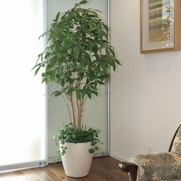 低価格で ニトリのパキラ 造花 180センチ 観葉植物 Www Fleurdujour Fr