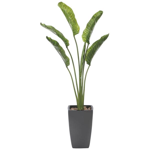 造花 観葉植物 オーガスタ185cm 光触媒 空気清浄 インテリア グリーン Frp製高級鉢仕様 Buyee Buyee 日本の通販商品 オークションの代理入札 代理購入