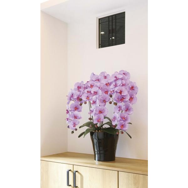 fbNXӒ 5{ 4color  A[gt[ AW G} C CeAA