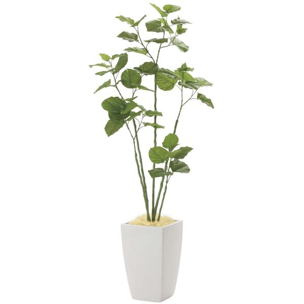  ϗtA wA[oEu`EEx[^ 180cmx G}(C) CeAEO[ FRPdl