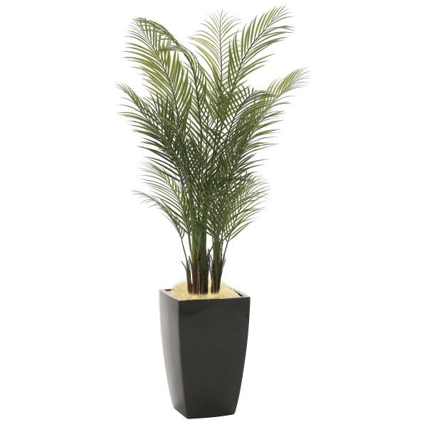  ϗtA A[oEAJp[ 170cm G}(C) CeAEO[ FRPdl