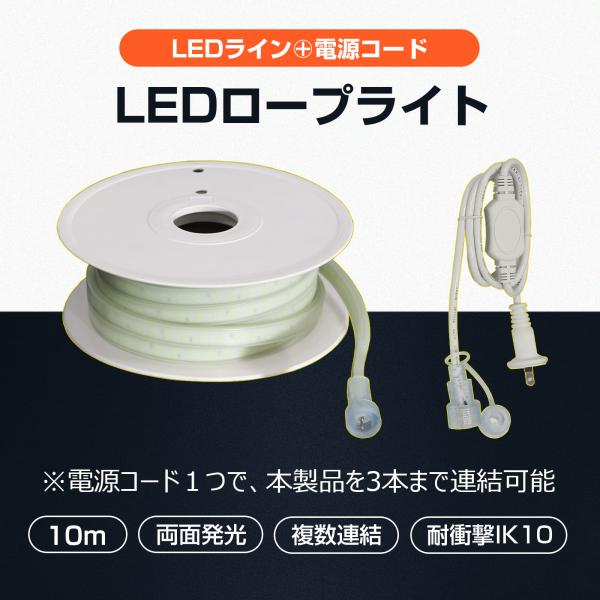 GOODGOODS（グッド・グッズ） LEDロープライト 10m 両面発光 120W