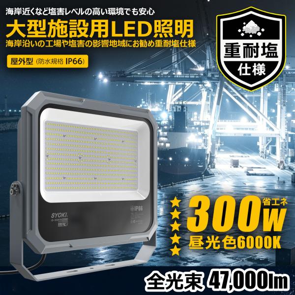 SALE LED投光器 重耐塩 300W 約47287lm 高出力 屋外 防水 防塵 大光量 耐塩仕様 漁港 港湾 沿岸 海岸地域 海洋施設 工事現場 夜間作業 塩害対策 LD-300HSR