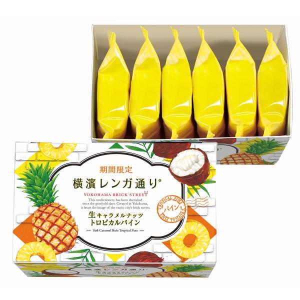 お中元 横浜 お土産 ウイッシュボン 横濱レンガ通りトロピカルパイン6