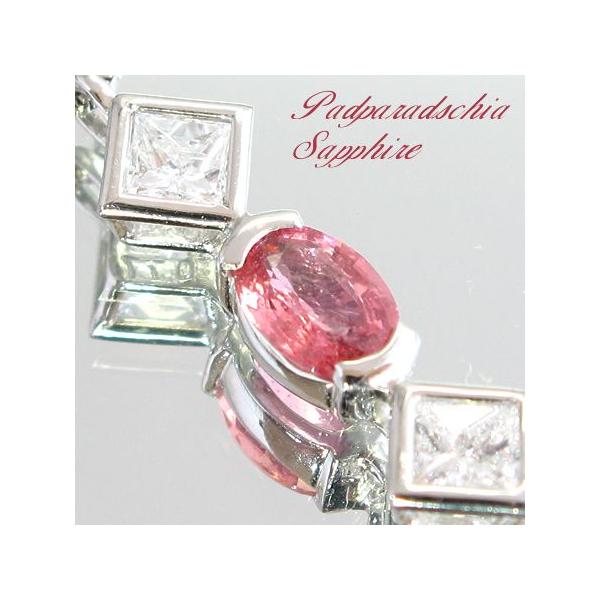 @ԐF̋H VRpp`ATt@CA _ChlbNX Pt900ӕʕt LO  v[g  40 30