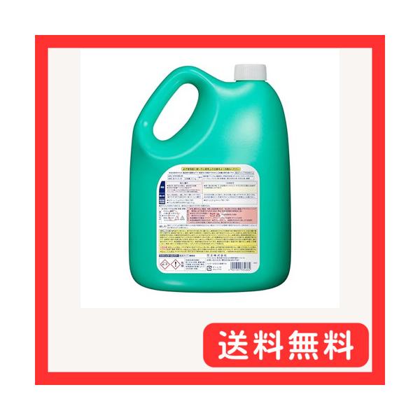 花王(Kao) KAO 業務用 衣料用粉末酸素系漂白剤ワイドハイターEXパワー 粉末タイプ 業務用(プロフェッショナルシリーズ)