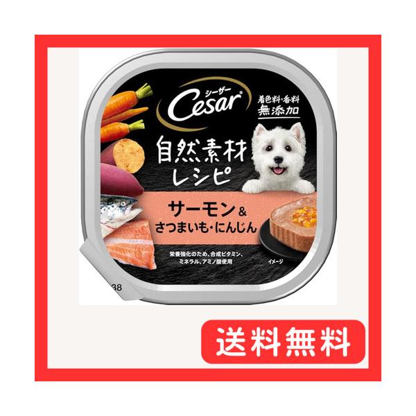 他サイト： シーザー トレイ 成犬用 自然素材レシピ 着色料・香料 無添加 85g×28個 サーモン&amp;さつまいも・にんじん 水分補給 ふわふわローフタイプの商品画像