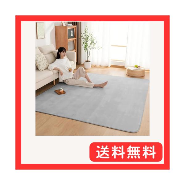 カーペット ラグ ラグマット 絨毯 200×250cm(約3畳) リビングマット 抗菌 防臭 防ダニ 滑り止め付き オールシーズン 床暖房 ホッ