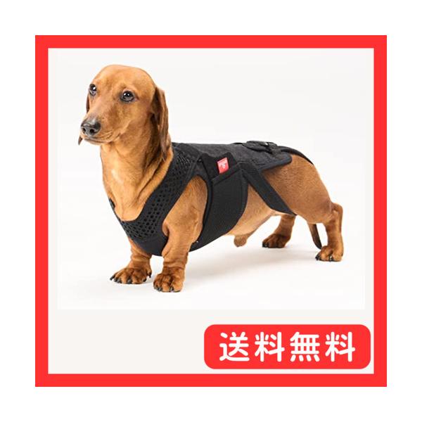 わんコル With