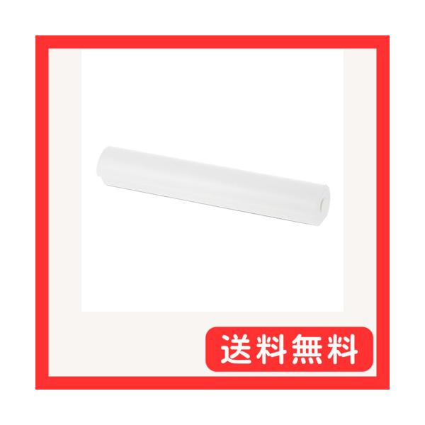 カインズ(CAINZ) ラップケース 30cm 用 ホワイト スパッと切れるラップケース WH-R グッドデザイン賞 マグネット付き 冷蔵庫 キ