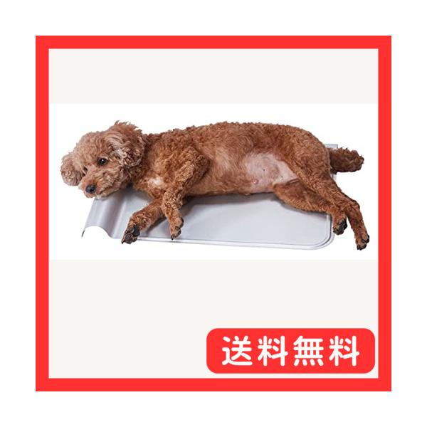 ペティオ (Petio) 犬猫用 広々寝そべれるクールアルミピローシートＨＮＹ Ｌ