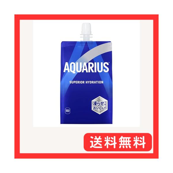 コカ・コーラ アクエリアスハンディパック 300g×30本