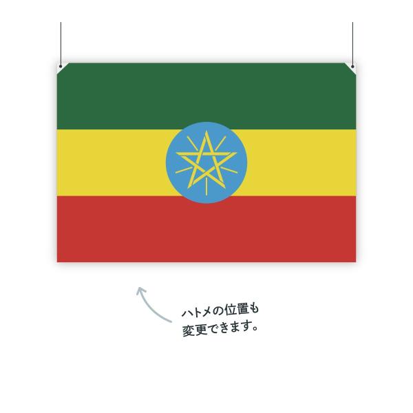 エチオピア連邦民主共和国 国旗 H100cm W150cm 使い勝手の良い