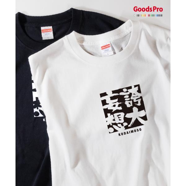 Tシャツ 誇大妄想 四字熟語
