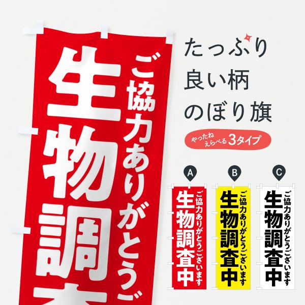 のぼり旗 生物調査中