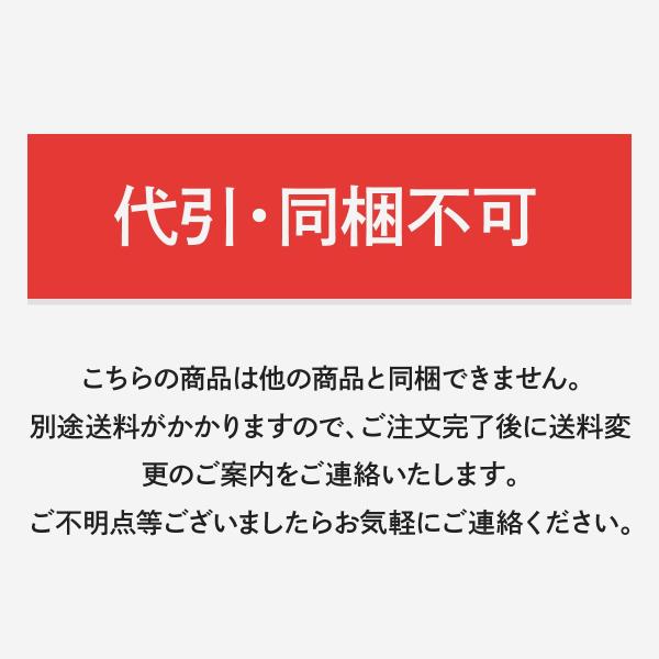 一部予約 ポール台 コンクリート Lサイズ