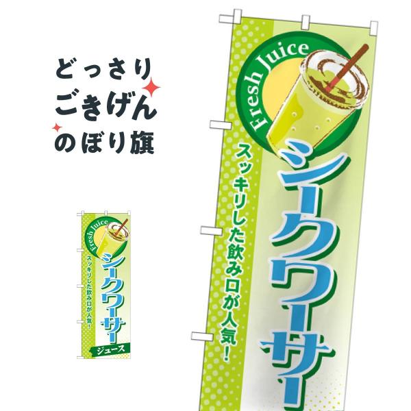 V[N[T[W[X ̂ڂ SNB-292