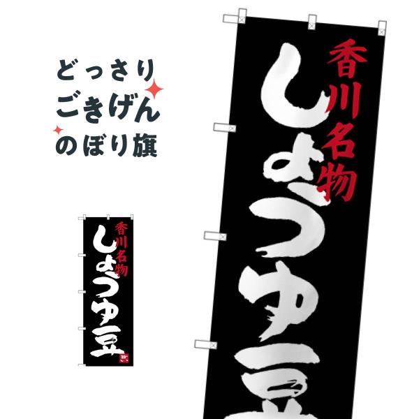 얼傤䓤 ̂ڂ SNB-3415