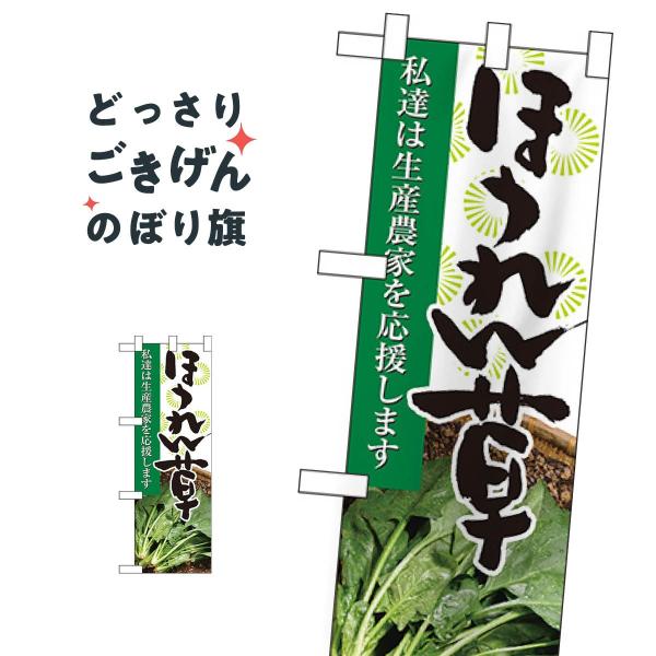 n[tTCY ق ̂ڂ 61195