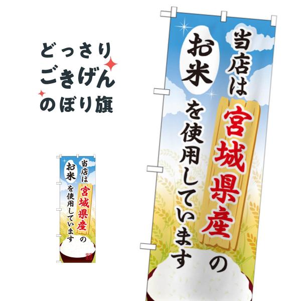 {錧Ŷ ̂ڂ SNB-884