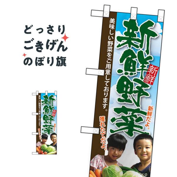 n[tTCY VN ̂ڂ 22451