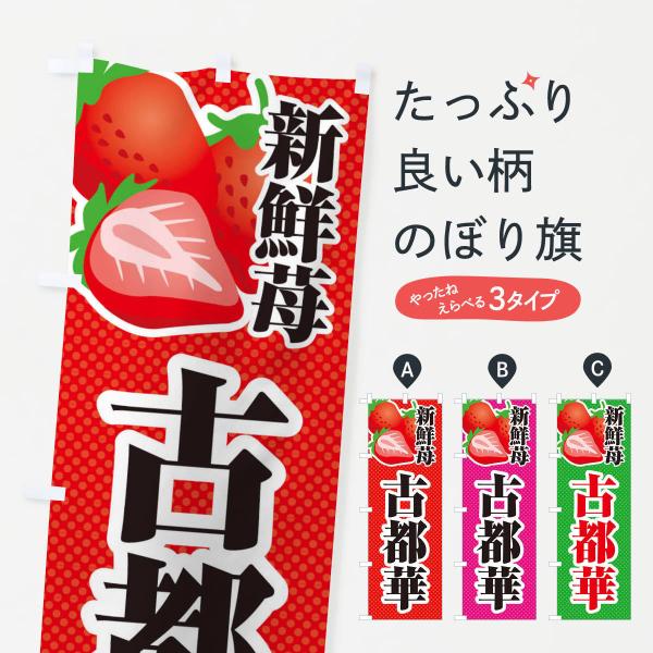 ̂ڂ VN䕌Ós؁EECXg