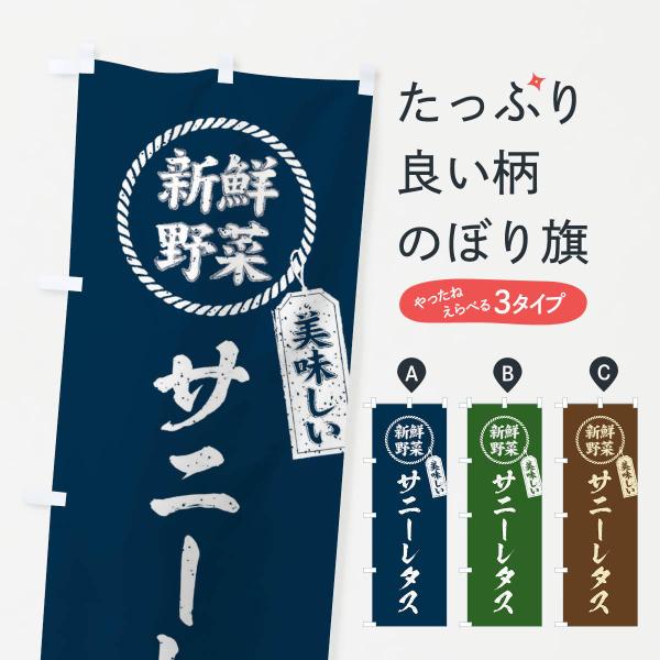 ̂ڂ Tj[^XEVN؁EEME菑