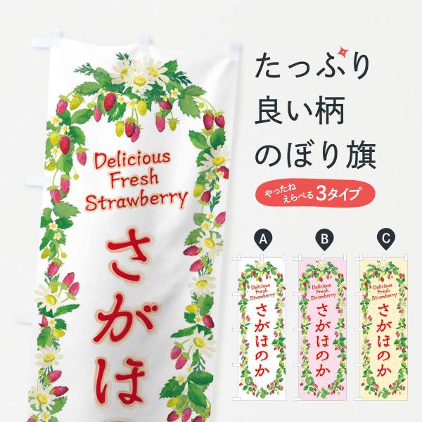 ̂ڂ ق̂EE䕁EʁE菑ECXg