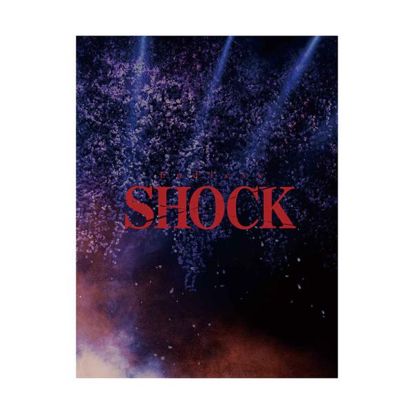 Endless SHOCK 2024 パンフレット( 梅田芸術劇場・博多座 ) 堂本光一 上田竜也 佐藤勝利 福田悠太 辰巳雄大 越岡裕貴