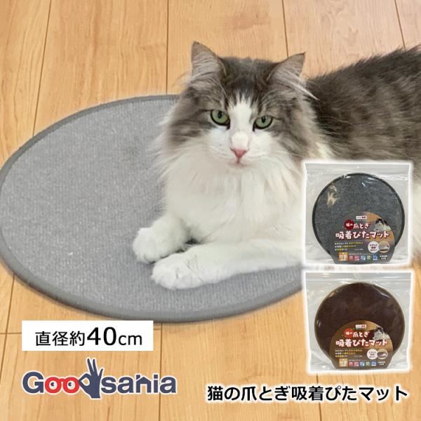 goodsania_3c548