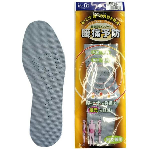 is-fit(イズフィット) 腰痛予防インソール 男女兼用 1足組