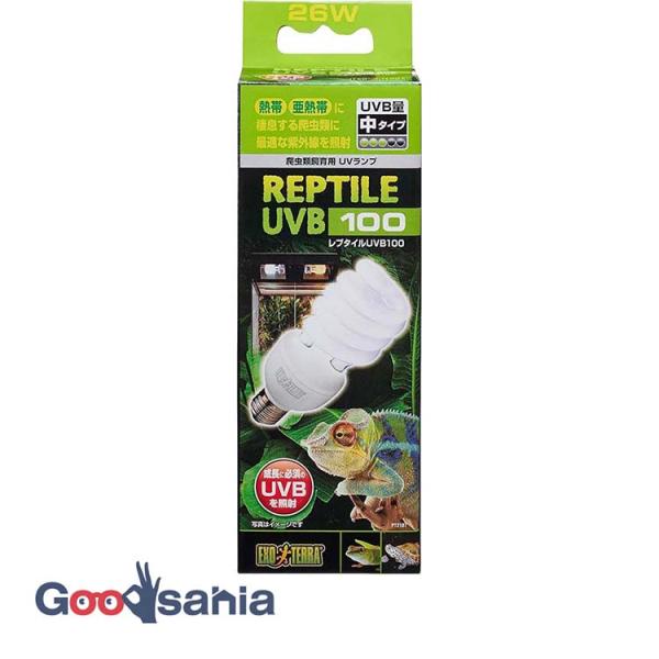 ・熱帯、亜熱帯に棲息する爬虫類にとって最適なUVBを照射するランプです。・自然下で太陽光を浴びて生活する爬虫類は、紫外線によって新陳代謝を維持しています。飼育下では不足しがちな紫外線を、このランプで補うことができます。※効果を保つため、1年...