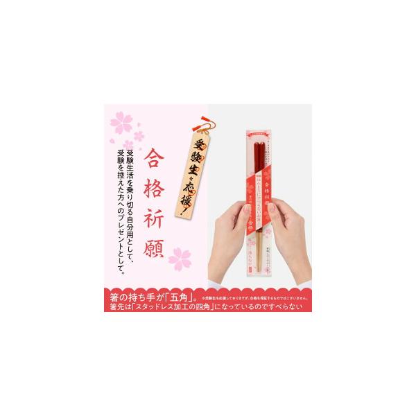 【ネコポス】ほんとうにすべらないお箸 プレミアム合格祈願箸 五角 23cm 赤