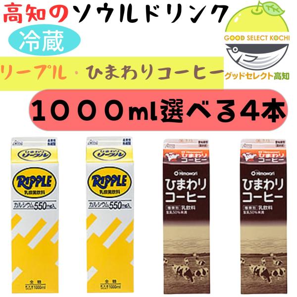 ひまわり★商品完成確認用 楽天市場】ひまわり種【 緑肥用 40日ひまわり 】6000粒 緑肥