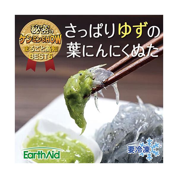 有機の葉にんにくで作った 無添加のぬた 和風タイプ 酢味噌(コク) 20ml×6袋保存方法 冷凍保管（−１８℃以下）製造元　株式会社アースエイド高知 ぬた