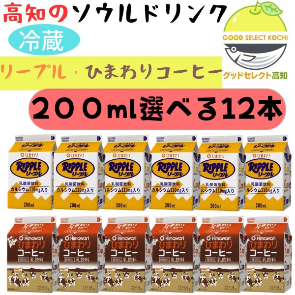 リープルひまわりおなじみの超ロングセラー乳酸菌飲料。酸味と甘みのバランスの取れたさわやかな飲み口はいまや、高知県民のソウルフードと言っても過言ではない？ケンミンSHOWで紹介された高知限定乳酸菌飲料リープルを高知県よりお届けします。※２０２...