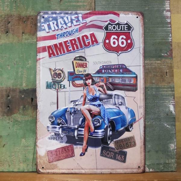 AeB[N ^v[g TRAVEL AMERICA uLŔ CeA sibvK[