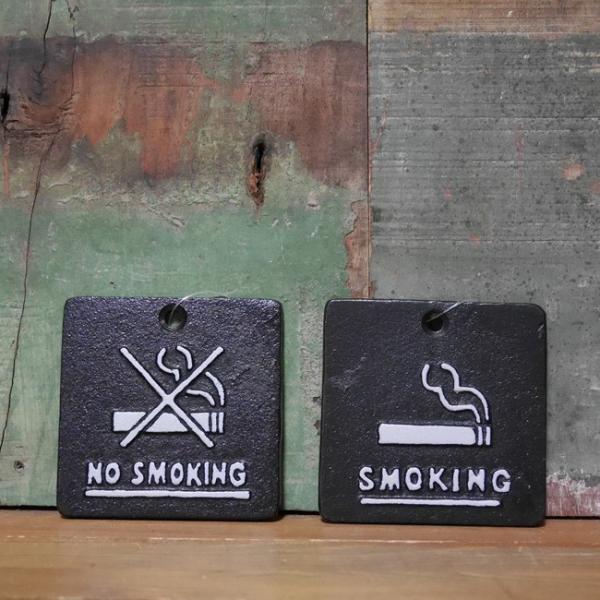 ACAv[g i ։ CtH[V TC IRON PLATE SMOKING