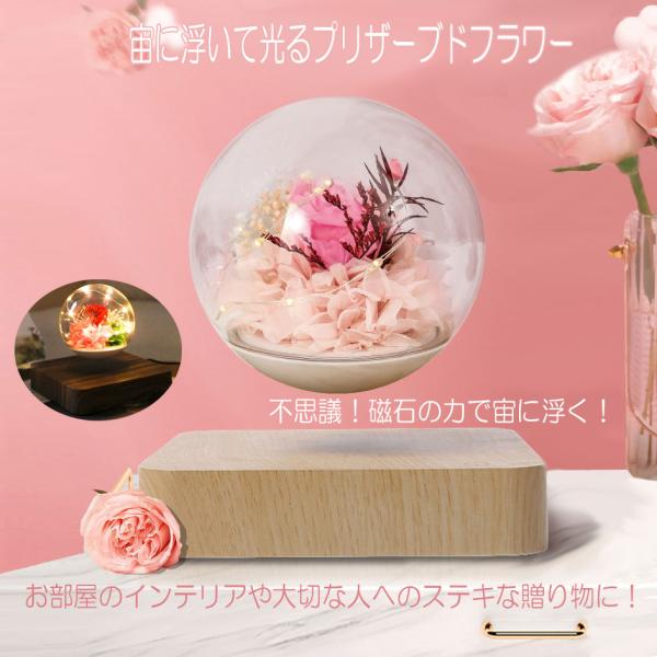 goodz-store_floating-lig-04