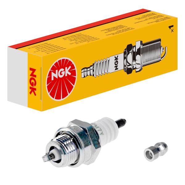 【ご購入後の当店からの連絡はご登録のメールアドレスに通知いたします。必ずご確認ください】