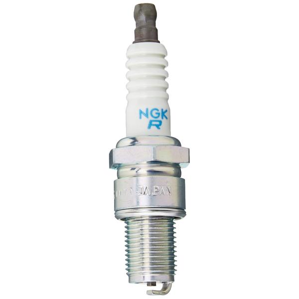 【ご購入後の当店からの連絡はご登録のメールアドレスに通知いたします。必ずご確認ください】