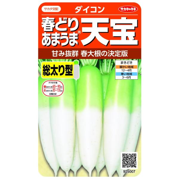 【ご購入後の当店からの連絡はご登録のメールアドレスに通知いたします。必ずご確認ください】